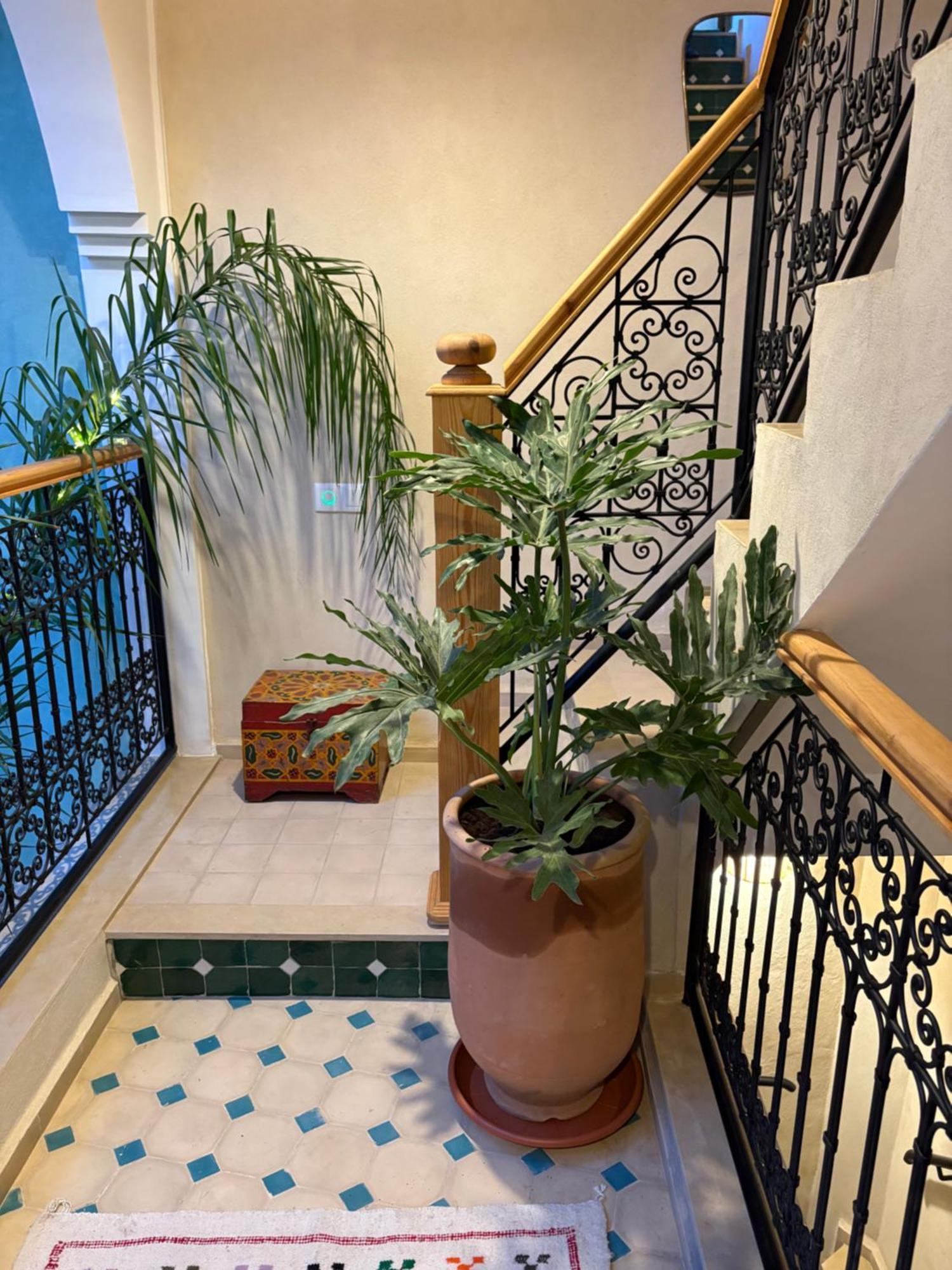 Riad212 Private Medina Fast Wi-Fi Plunge Pool Marrakesh Exterior foto